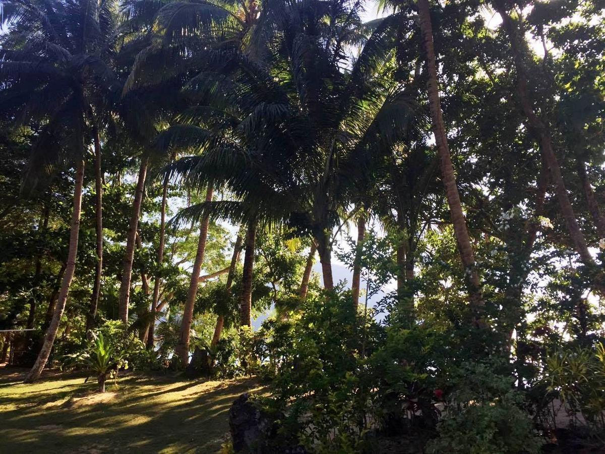 爱妮岛花园湾海滩度假村 外观 照片